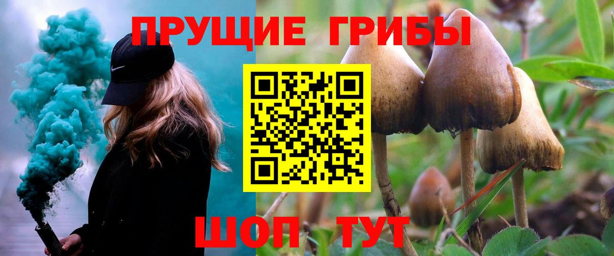 Галлюциногенные грибы Cubensis Вологда